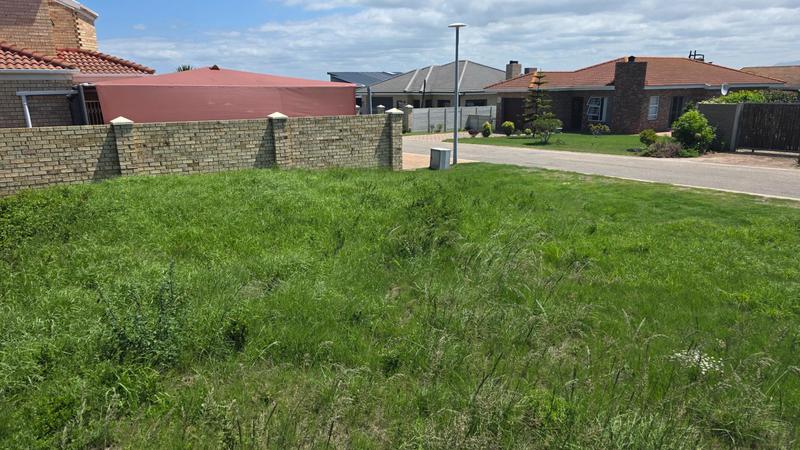 0 Bedroom Property for Sale in Reebok Western Cape